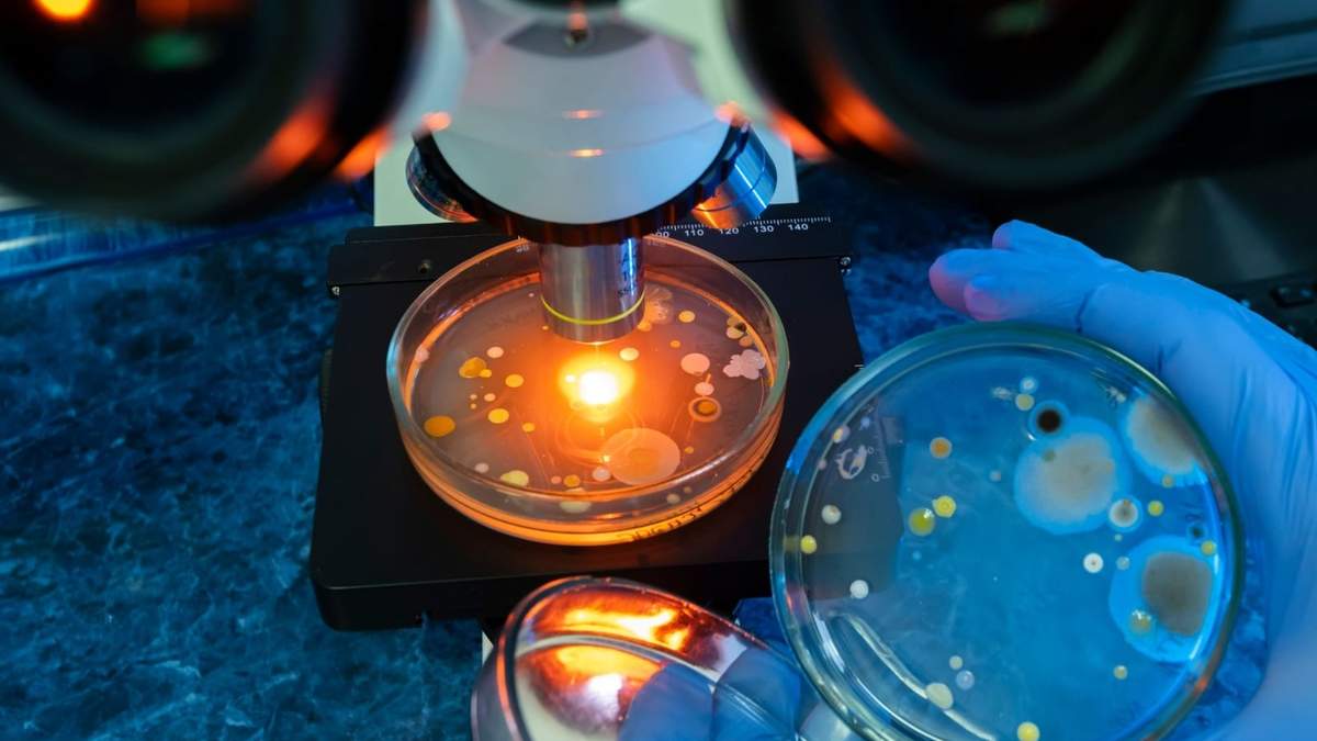 Un tratamiento rápido con antibióticos y cirugía es fundamental para detener el avance de la fascitis necrosante, conocida como infección por "bacteria come carne".