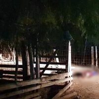 Ejecutan a tres hombres en un rancho de Los Ramones, en Nuevo León