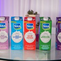 No gastes un peso: transformá las cajas de leche vacías en este adorno que venden en todas las tiendas de decoración