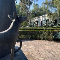 Analizan el fideicomiso del Museo Dolores Olmedo; “cambiar de fiduciaria fue irregularidad”