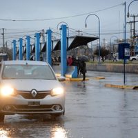 Casas inundadas y árboles caídos por la tormenta en Cipolletti