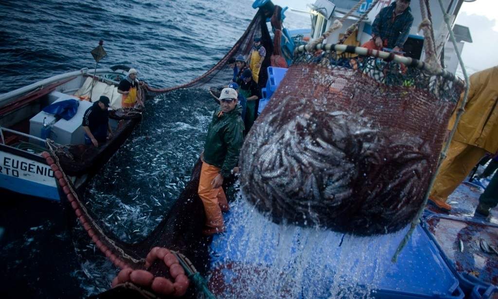 Con protocolos especiales, continúa pesca artesanal. Fuente: (Twitter)