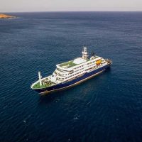 ¿Qué es el hantavirus y cómo se transmite?: claves del brote en un crucero que dejó tres muertos