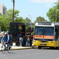 Finde extralargo: así funcionarán los distintos servicios municipales y de colectivos