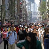 Mexicanos pierden 20 mil millones de pesos por fraudes digitales