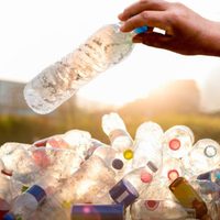 No tires las botellas plásticas: mirá este truco infalible para lavar los platos con más comodidad