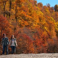 Otoño en Neuquén: planes y escapadas para vivir la temporada al máximo