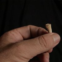 Hallan nueva especie de homínido en una cueva de Filipinas