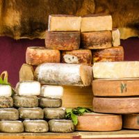 Quesos españoles: los sabores de las distintas regiones