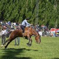 Fin de semana largo con buenos números de ocupación turística en Neuquén