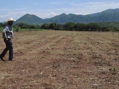 Campesinos del Valle de Tehuacán acusan a agroindustrias chinas de usar aeronaves antigranizo