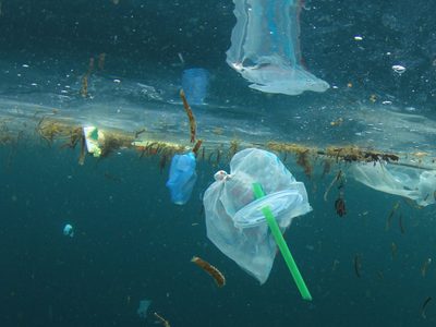 Cruzada de Canadá contra el plástico: a fines de 2021 las bolsas y los sorbetes serán ilegales
