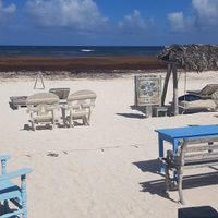 Tulum en 2025: claves de la crisis turística y de servicios que impacta al destino