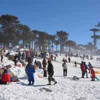 Primeros Pinos no tienen concesionario definido a pocas semanas de la temporada de invierno