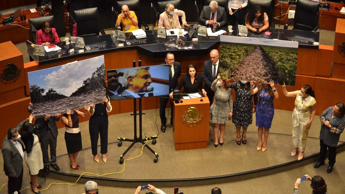Senadores de oposición muestran fotos de la deforestación en el tramo 5 del Tren Maya