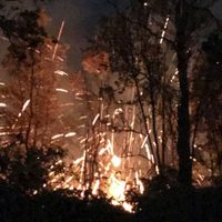 Erupción del Kilauea y sismos provocan órdenes de evacuación en Hawai (Video)