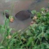 Reporta Michoacán feminicidio 35 del año; hallan el cuerpo en el Río Grande