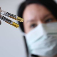 Neuquén Capital administrará plasma a pacientes con cuadros de coronavirus leves
