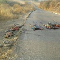 Ejecutan a cinco hombres en bastión de 'El Tequilero”, en Guerrero