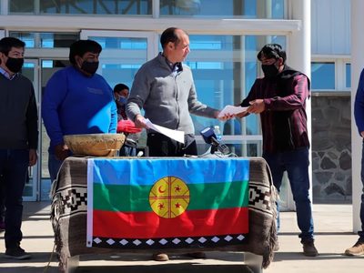 Biomedicina y medicina mapuche: cuándo se inaugurará el particular Centro de Salud de Aluminé
