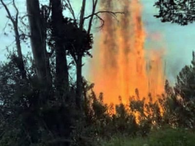 Por las altas temperaturas piden extremar los cuidados para evitar incendios forestales