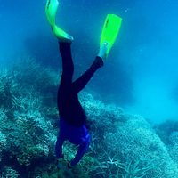 Como se temía, una ola de calor dañó el 91% de la Gran Barrera de Coral de Australia