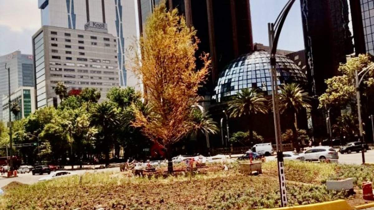 La imagen que circuló en redes sociales