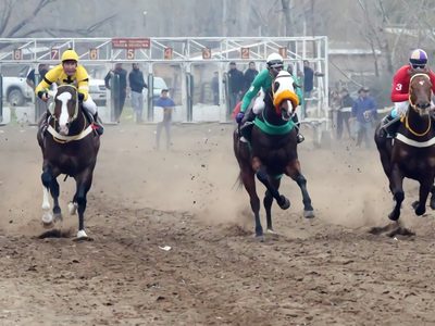 Investigan trágica carrera de caballos en Vista Alegre