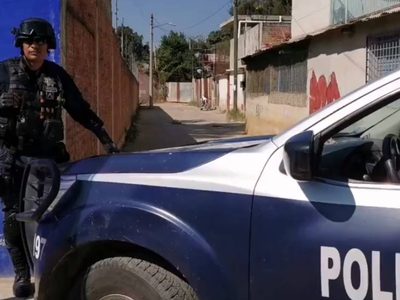 Ahora en Oaxaca captan a un perro con un antebrazo humano en el hocico