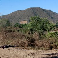 Hallan un cuerpo descuartizado dentro de una hielera en Sinaloa