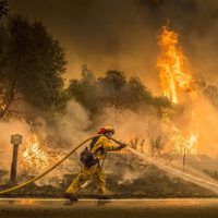 Abrumadora ola de calor intensifica los incendios forestales en Estados Unidos