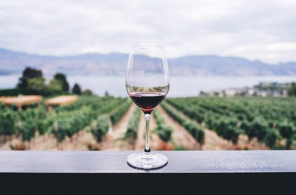 Cambio de paradigma en la venta del vino. Fuente: (Twitter)