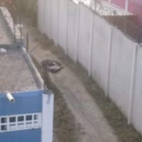 Menor que había sido reportado desaparecido aparece embolsado al sur de Veracruz