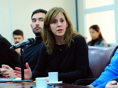 Lorena Parrilli no acompañó el Régimen de Servidumbre para telecomunicaciones