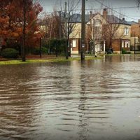 Las lluvias complican a Neuquén: anegamientos, casas inundadas y autoevacuados