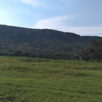 Hallan fosa clandestina a las faldas de un cerro en Rincón de Tamayo, Guanajuato