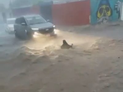 Rescatan a niña arrastrada por la corriente tras fuertes lluvias en Teotihuacán (Video)