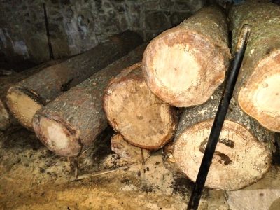 Desmantelan un aserradero clandestino en Milpa Alta