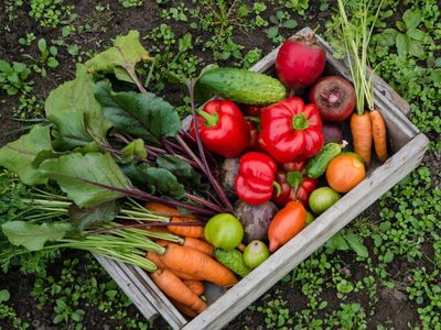 Qué hacer con la huerta cuando bajan las temperaturas: tips para el invierno