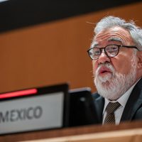 Aprehensión de García Luna "es la punta de un gran iceberg": Encinas