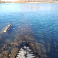 Denuncian que la planta Tronador vierte líquidos cloacales al río Limay