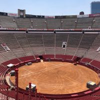 Aprueban dictamen para prohibir violencia hacia los animales en las corridas de toros en la CDMX