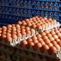 No tires el maple de huevos y dale vida con esta idea que te va a encantar para usar en tu cocina