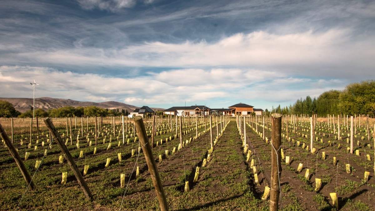 Tertulia Gualjaina en Chubut. Fuente: (Twitter)