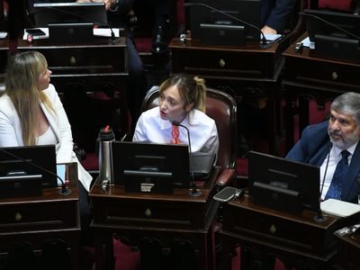 Fernández Sagasti se diferenció del resto del kirchnerismo en una votación del Senado