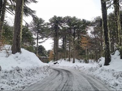 Figueroa aseguró que la Ruta 60 hasta Mamuil Malal es prioridad para el gobierno