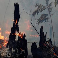 El fuego de la Amazonia alcanza a Bolsonaro