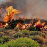 Aún no pudieron sofocar el incendio y se viven momentos críticos en Loncopué