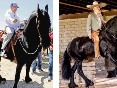 Fernández de Cevallos se mofa de AMLO montando a caballo: "tiene razón tartufo, no somos iguales"