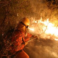 Impresionante: así se ve el fuego que consume el Delta del Paraná desde adentro